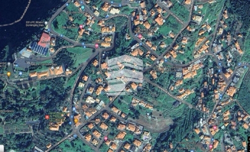 Funchal Funchal terrain foto 319713