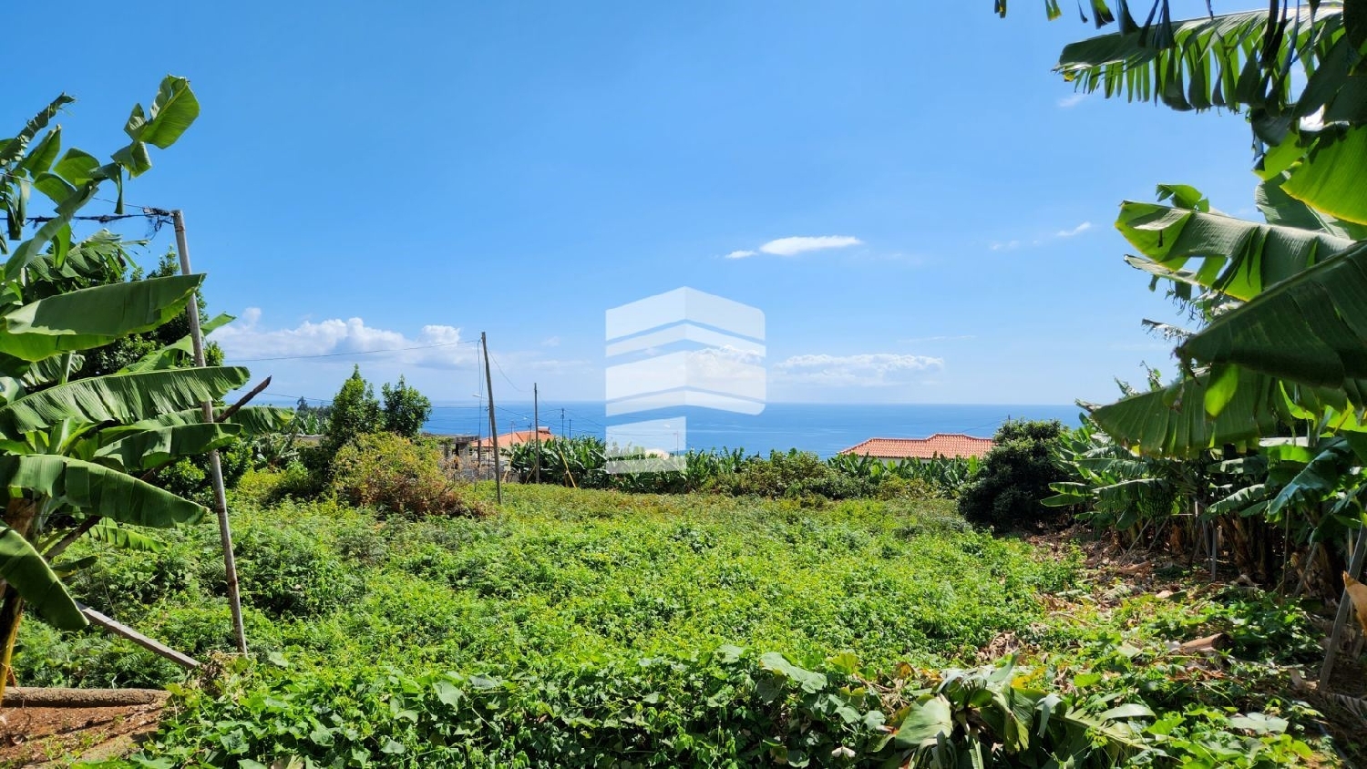 for sale terrain Funchal Funchal 2