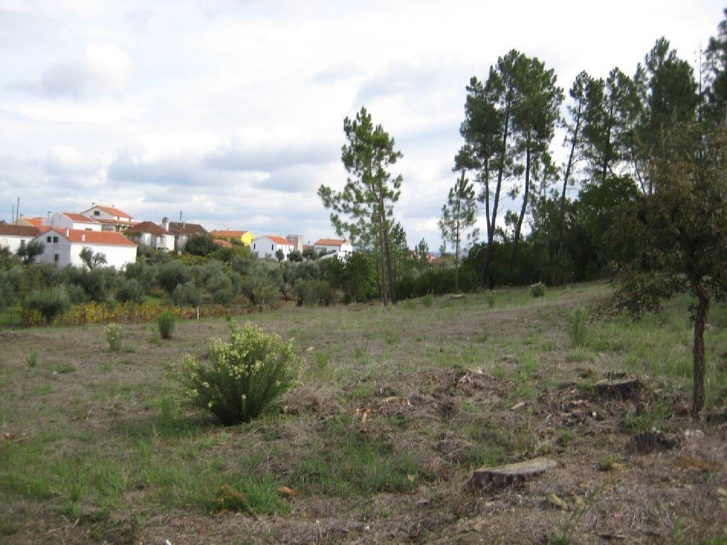  te koop terrein Fundada Vila De Rei 1