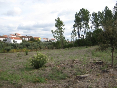 Fundada Vila De Rei terrein foto 327152