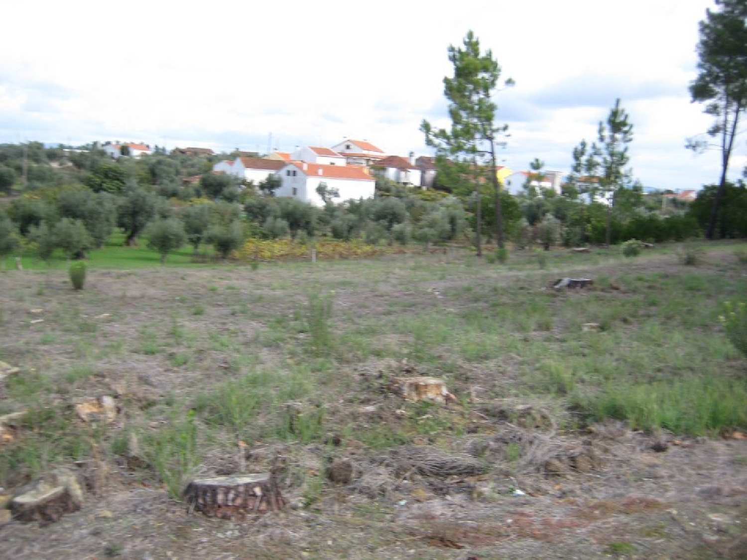 te koop terrein Fundada Vila De Rei 2
