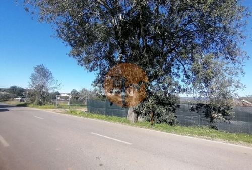 Fuseta Olhão terrein foto 329691