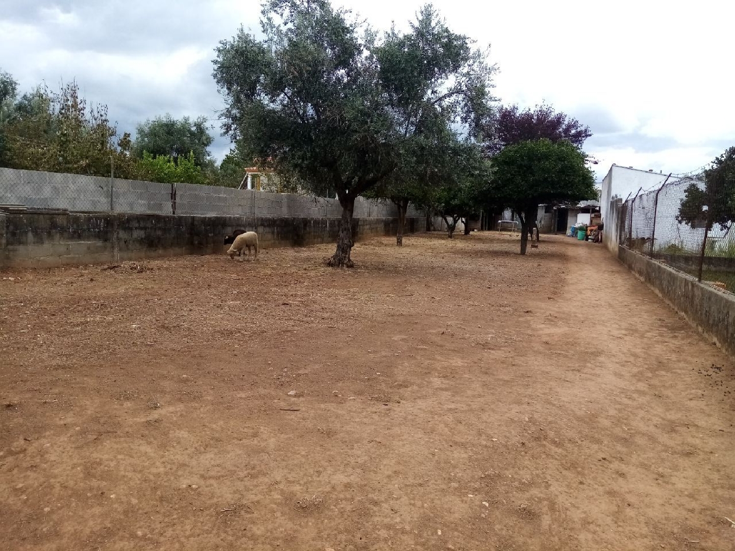 te koop terrein Galveias Ponte De Sor 2