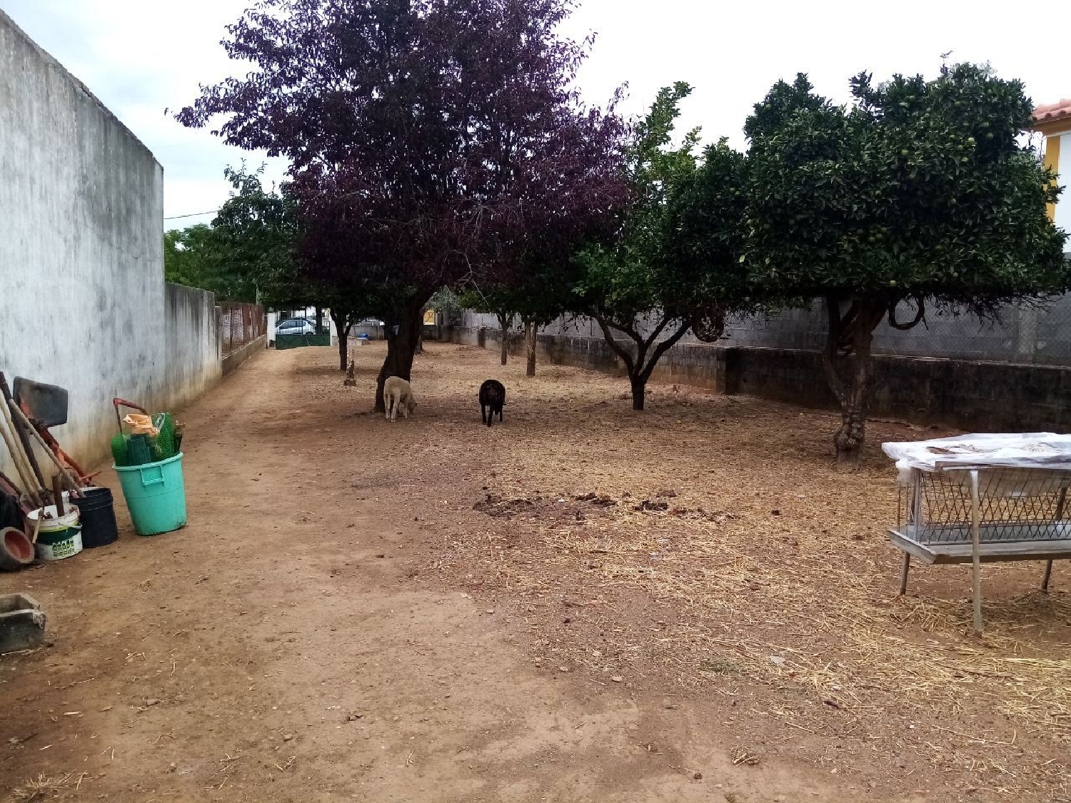 te koop terrein Galveias Ponte De Sor 3