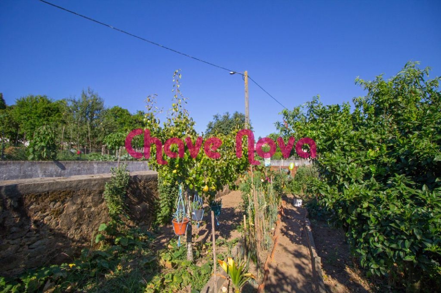  en venta terreno Gândara, Gandara Oliveira De Azeméis 2