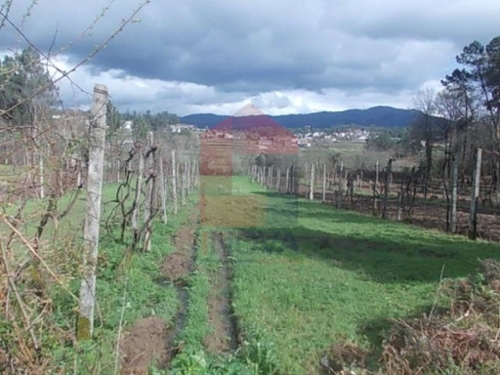 Geme Vila Verde terrain foto 326070