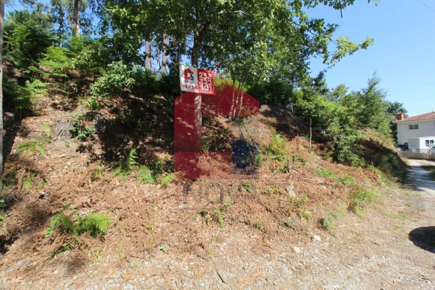  for sale terrain Geme Vila Verde 1