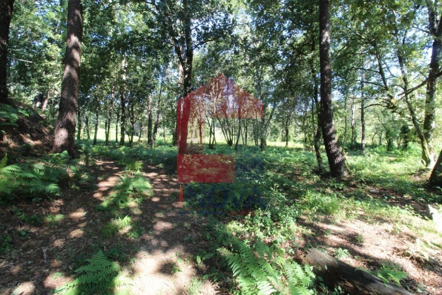 for sale terrain Geme Vila Verde 2