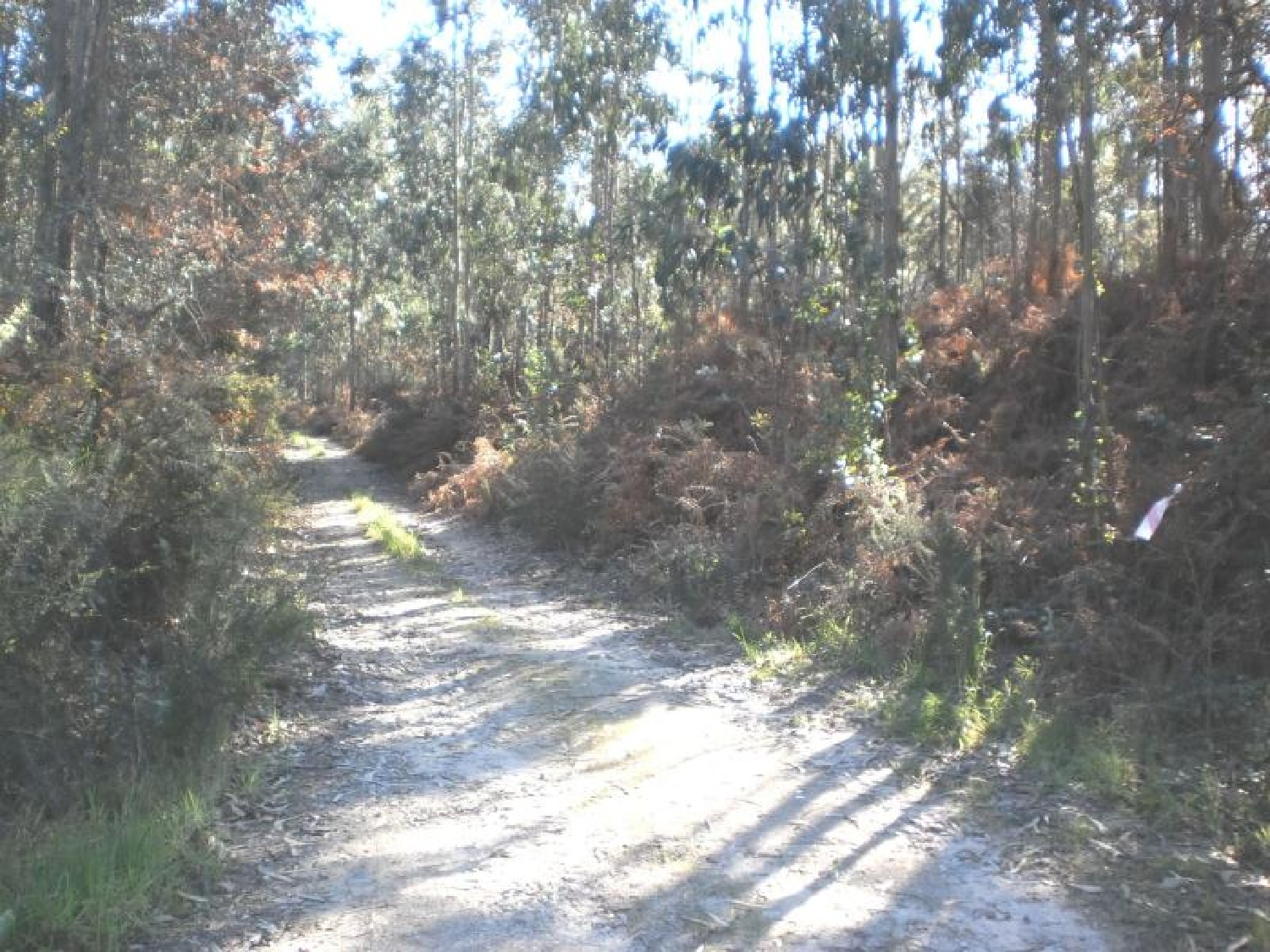 te koop terrein Gião Vila Do Conde 2