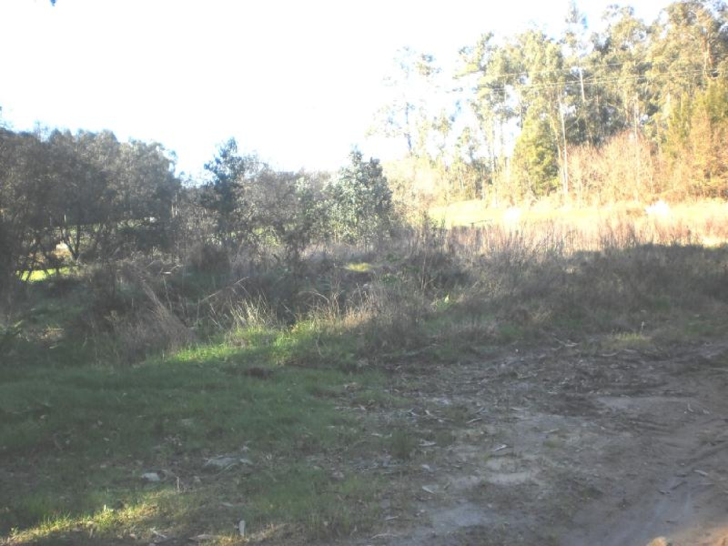 te koop terrein Gião Vila Do Conde 3