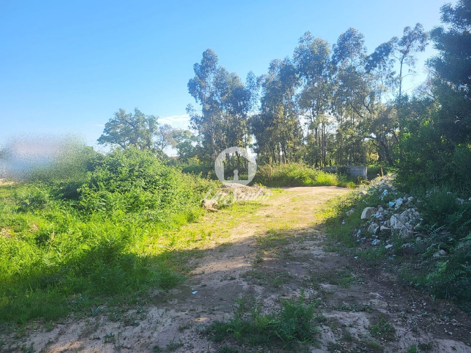  te koop terrein Gião Vila Do Conde 1