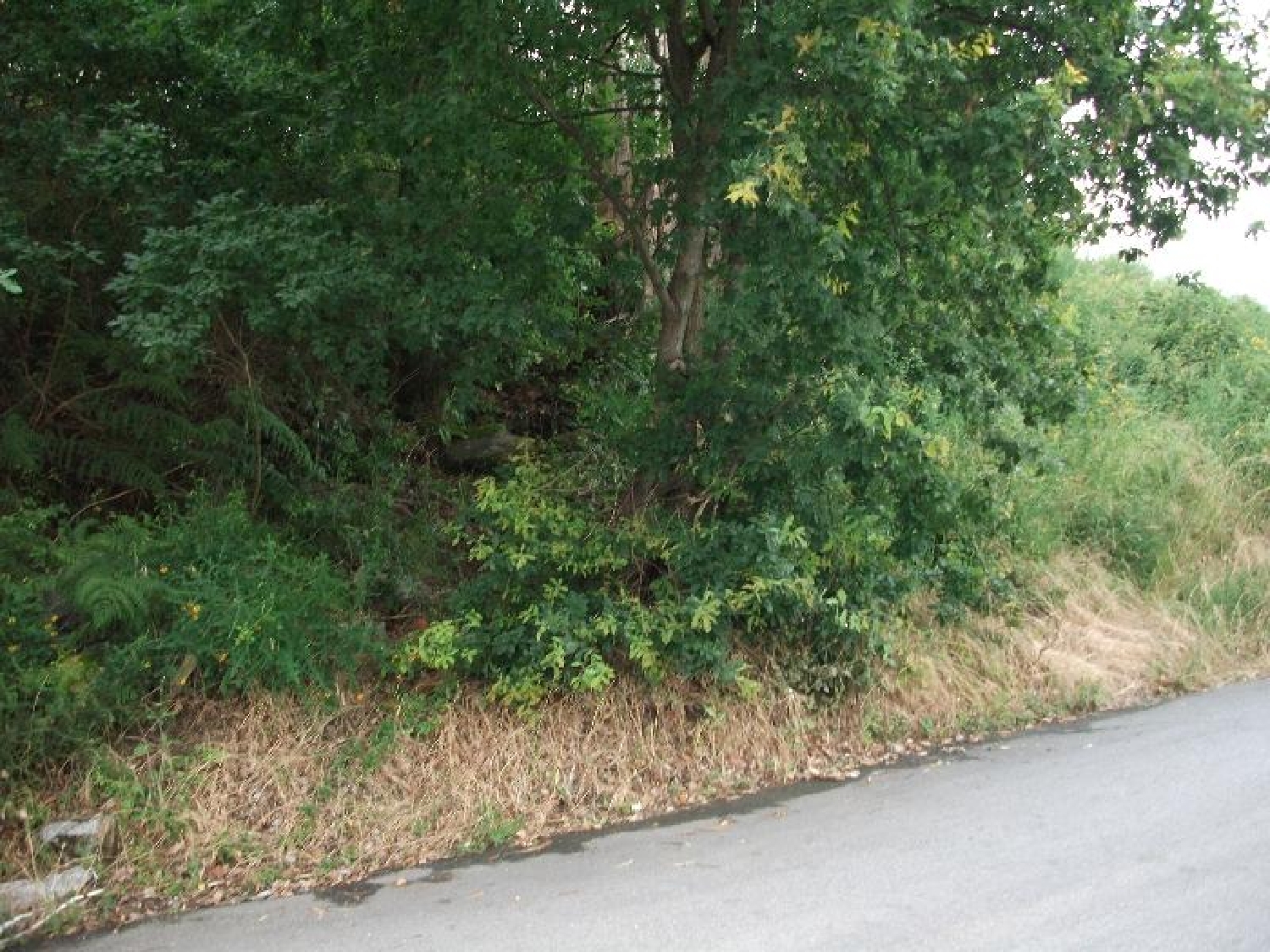  te koop terrein Gominhães Guimarães 1