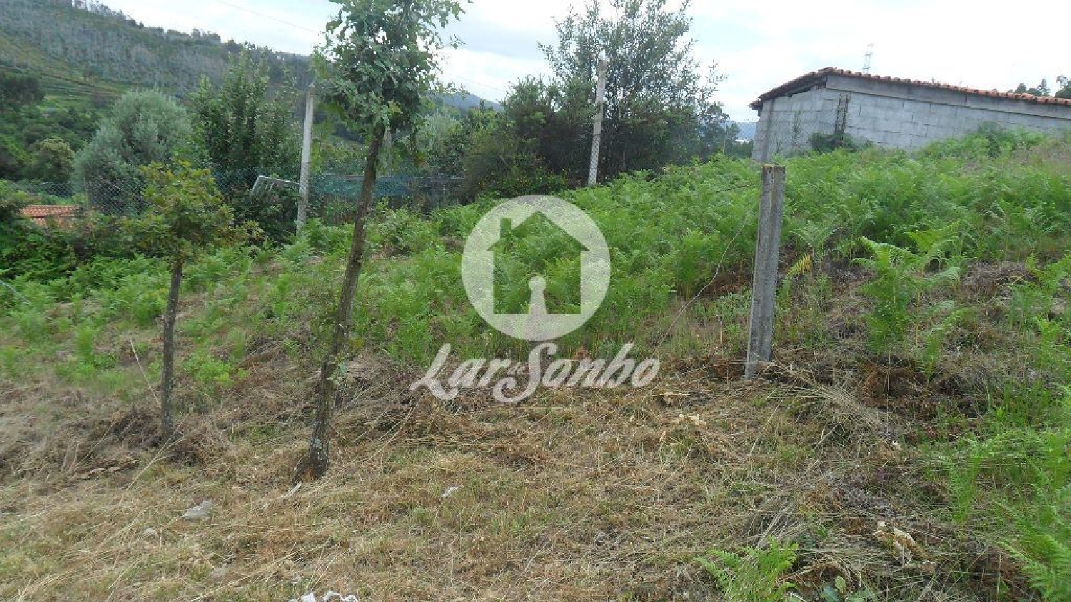 te koop terrein Gonça Guimarães 3