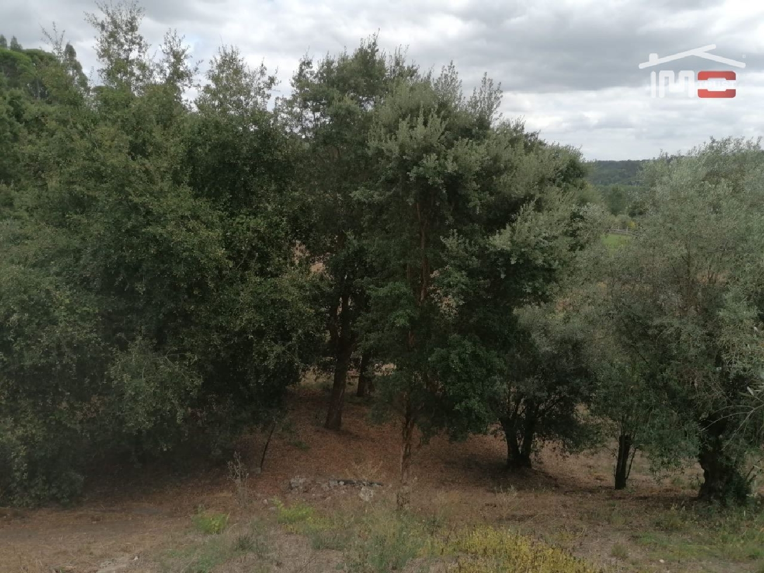 for sale terrain Gondemaria Ourém 3