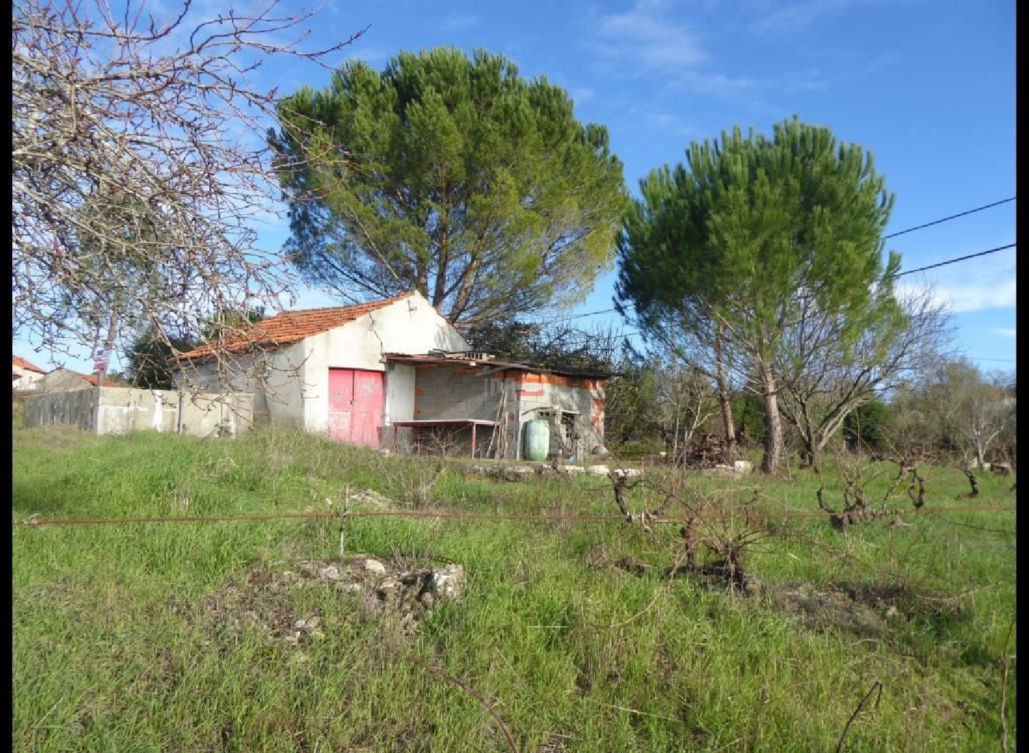  for sale terrain Gondemaria Ourém 1
