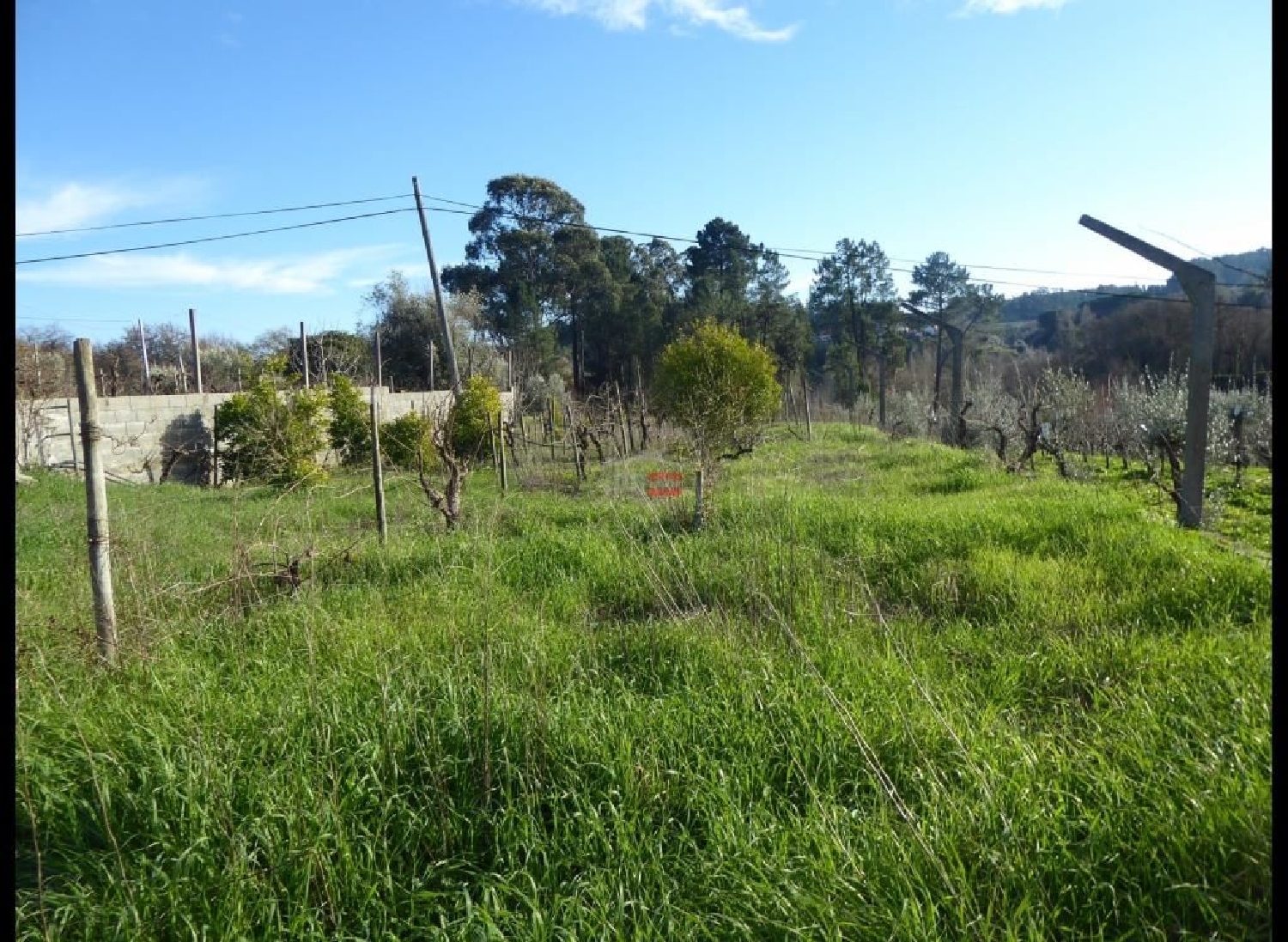 for sale terrain Gondemaria Ourém 2