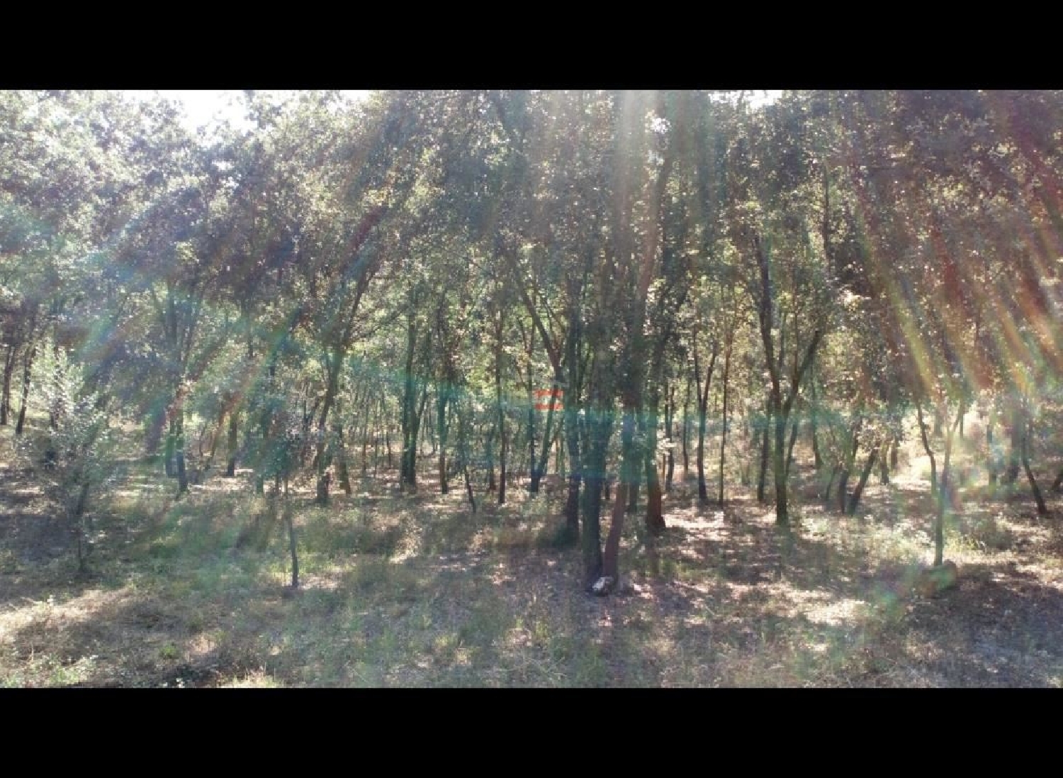  for sale terrain Gondemaria Ourém 1