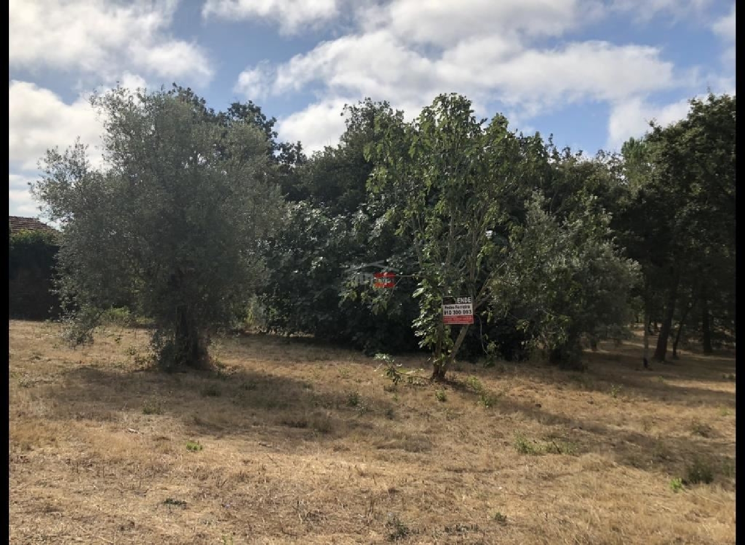 te koop terrein Gondemaria Ourém 2