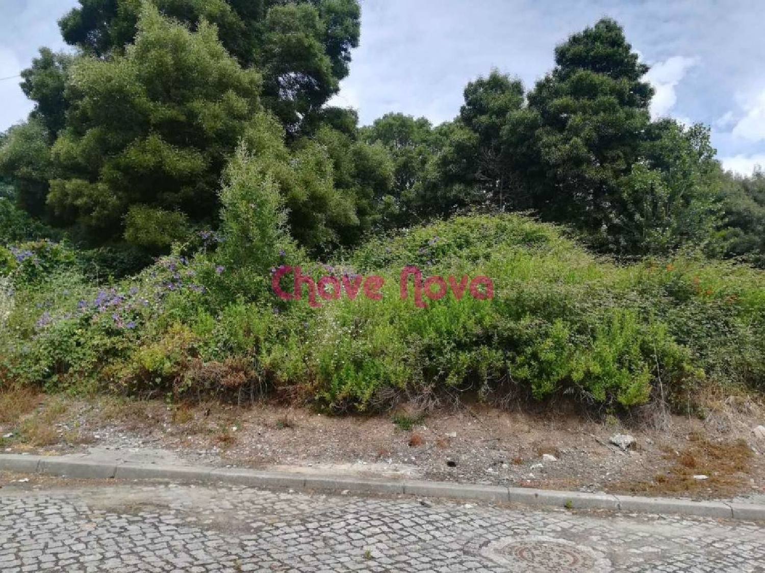  à vendre terrain Gondomar Gondomar 3