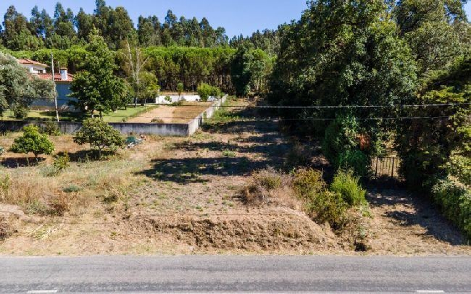te koop terrein Granja do Ulmeiro Soure 3