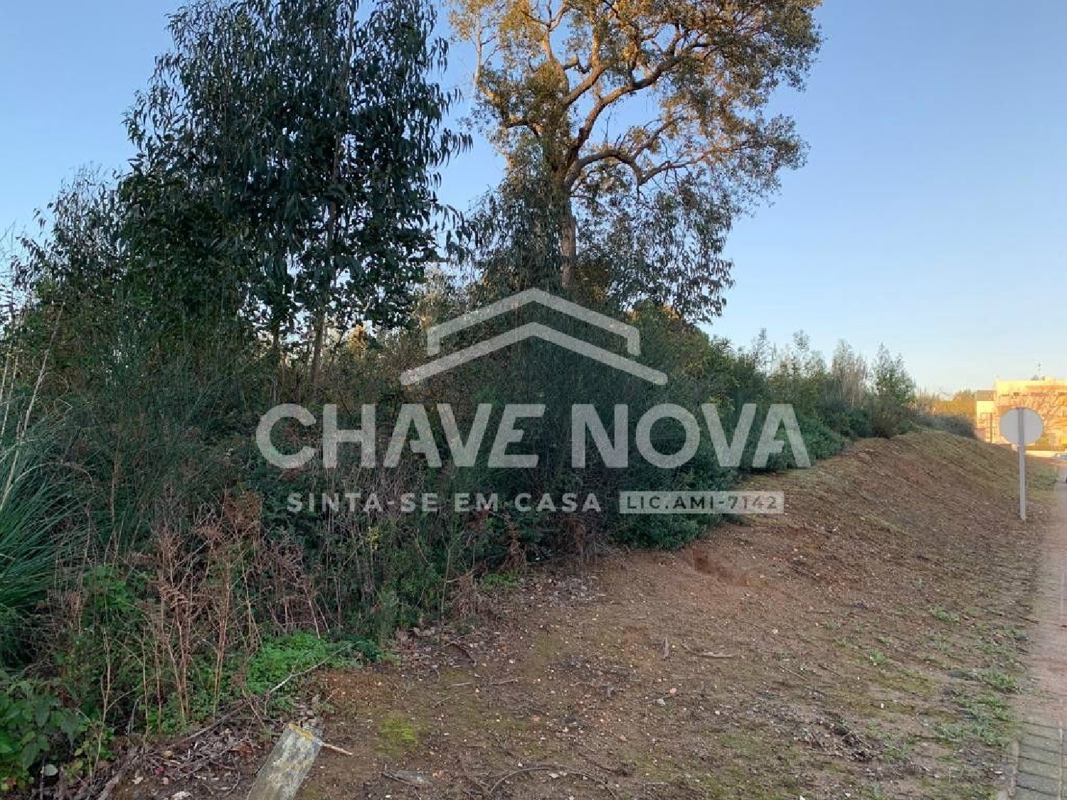  kaufen Grundstück Grijó Vila Nova De Gaia 1
