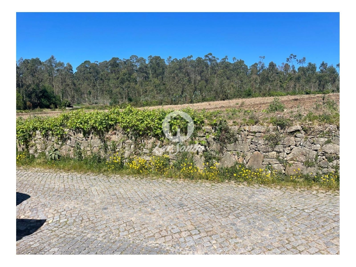 à venda terreno Gueral Barcelos 3