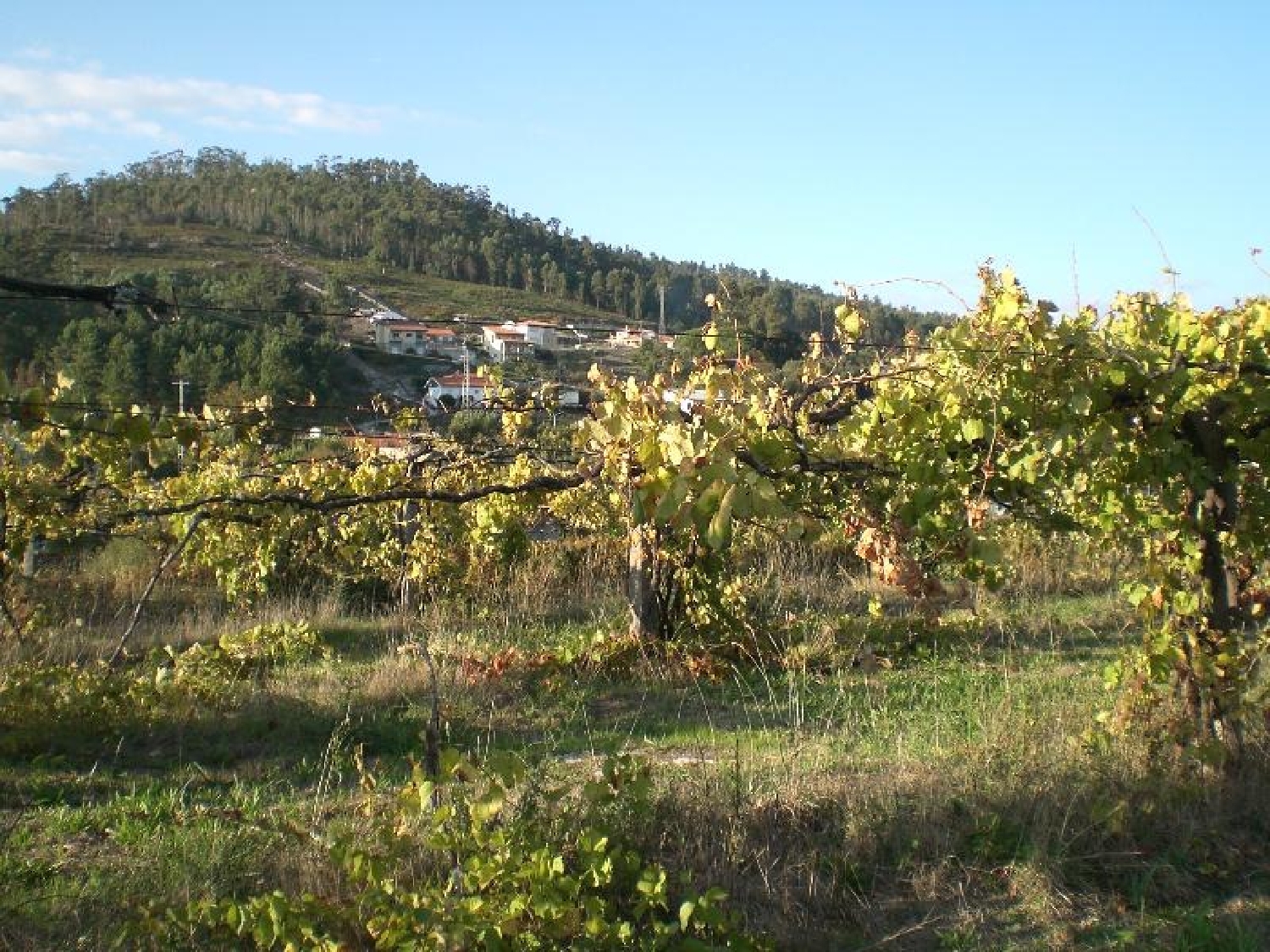 for sale terrain Guimarães Guimarães 2