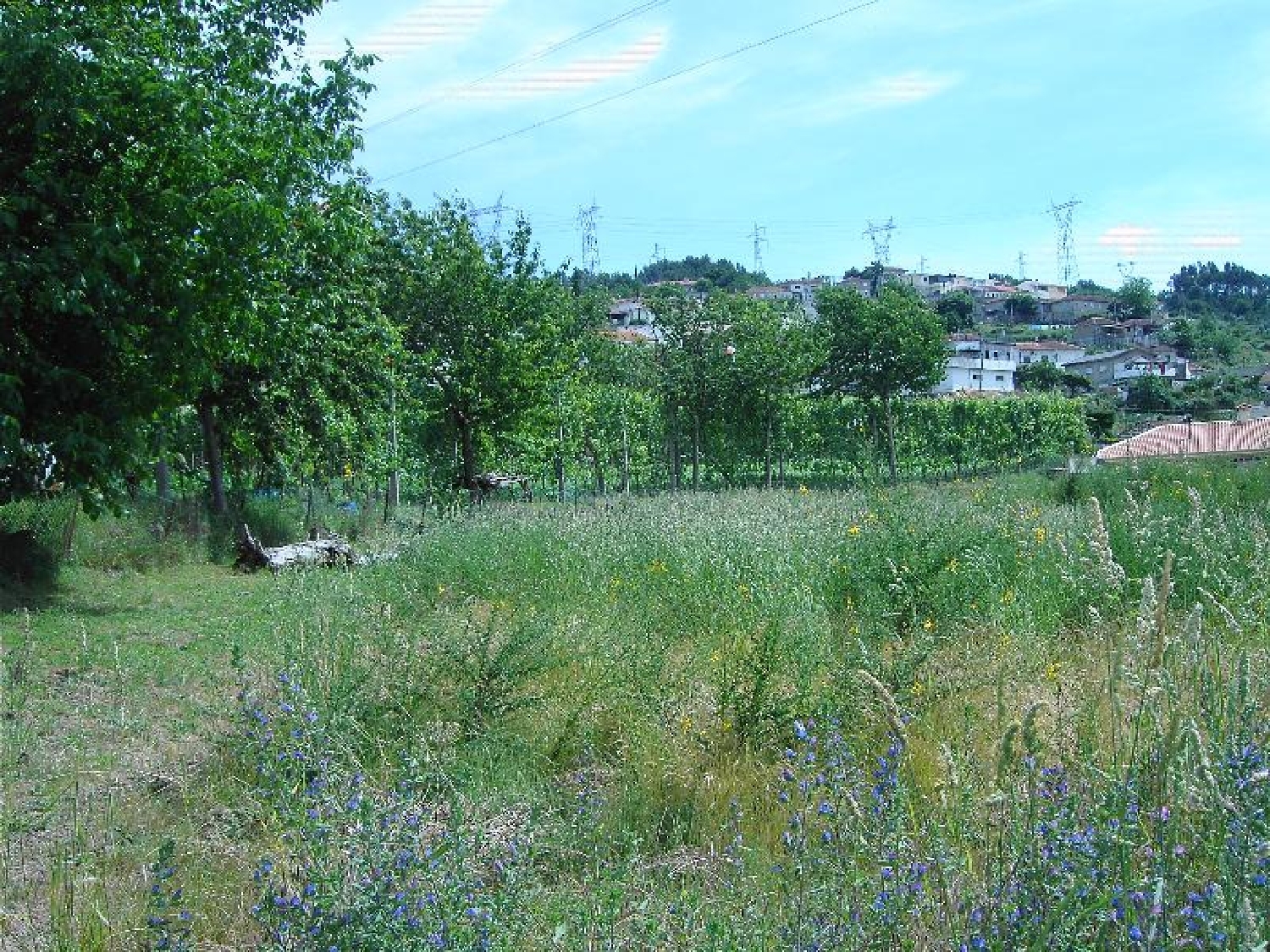 te koop terrein Guimarães Guimarães 2