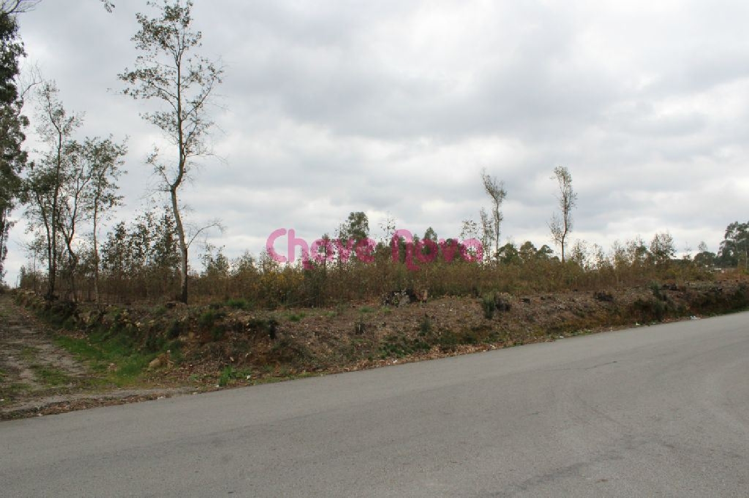  te koop terrein Guisande Santa Maria Da Feira 1