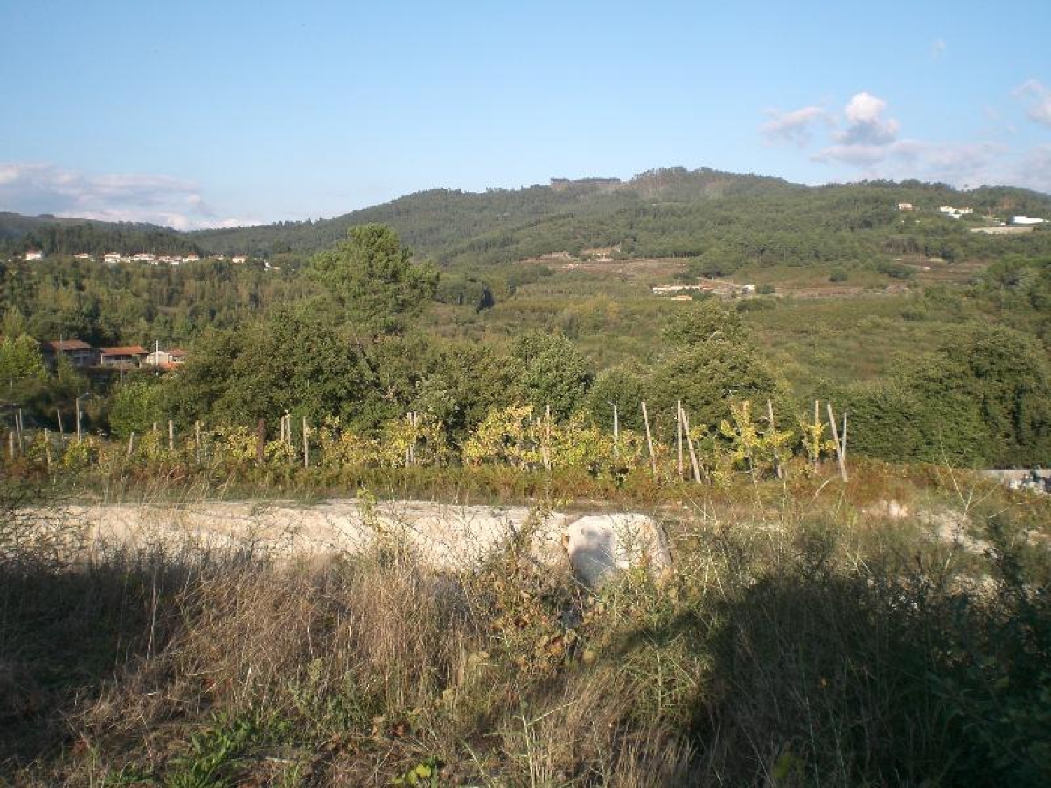 for sale terrain Infantas Guimarães 3