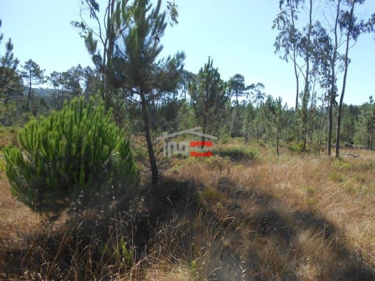  te koop terrein Jardoeira Batalha 2