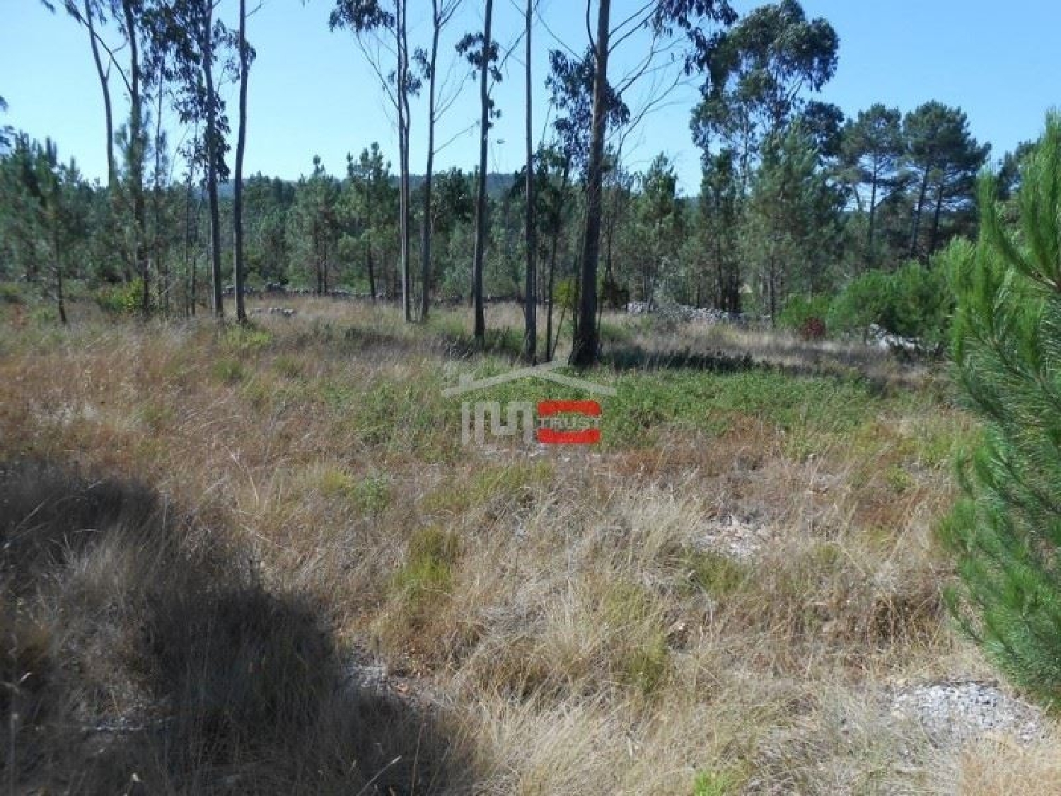  te koop terrein Jardoeira Batalha 3