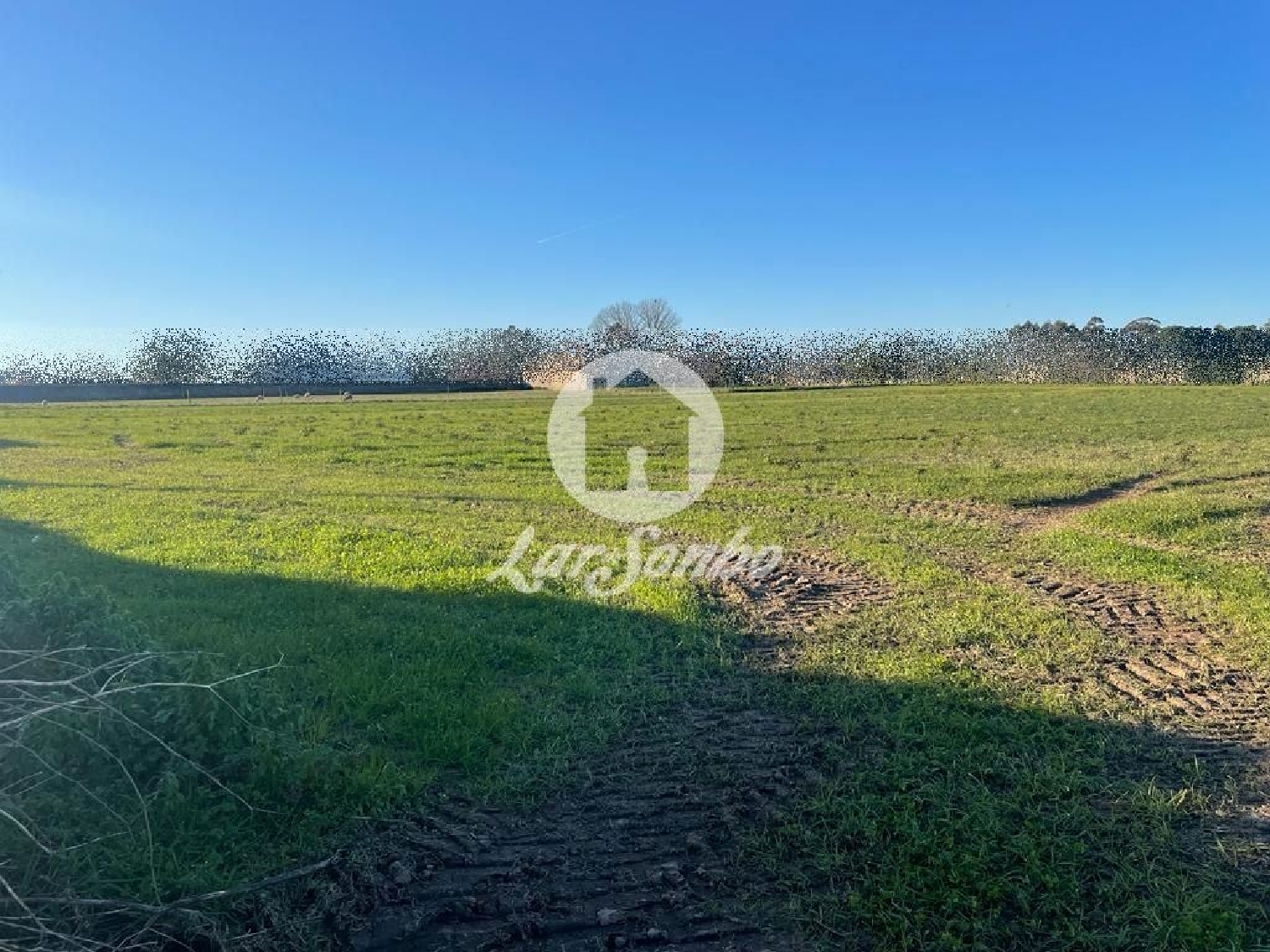  te koop terrein Junqueira Vila Do Conde 1