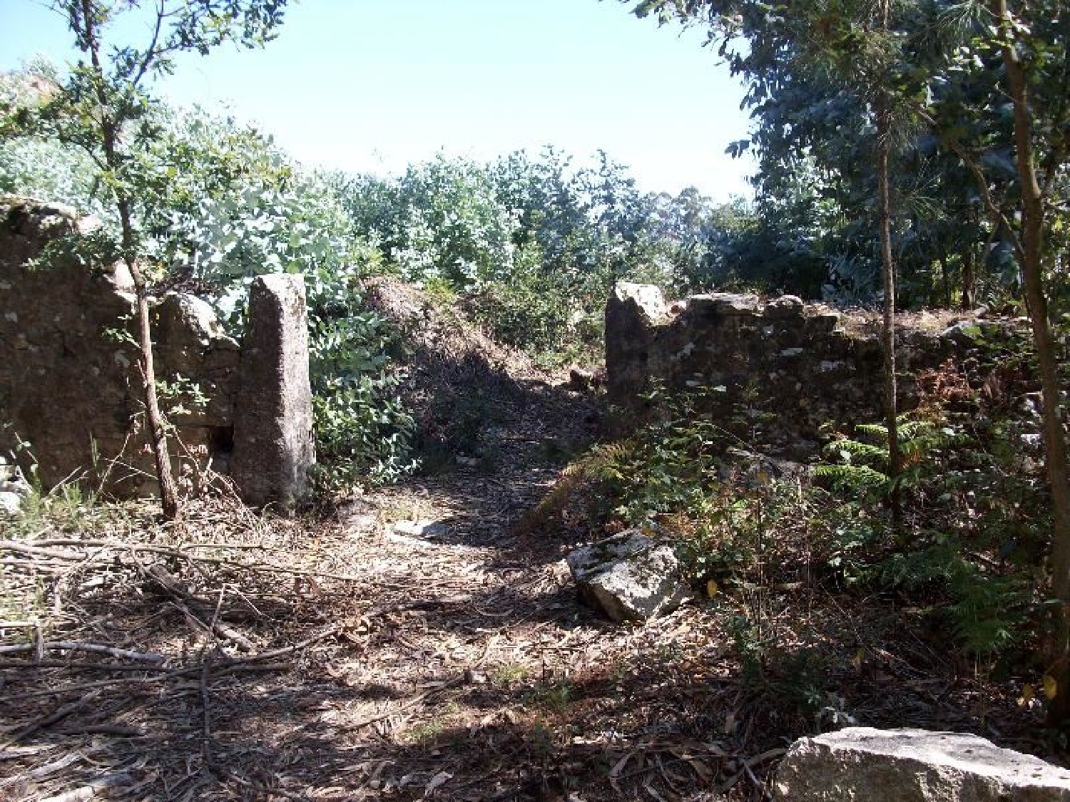 à venda terreno Junqueira Vila Do Conde 3