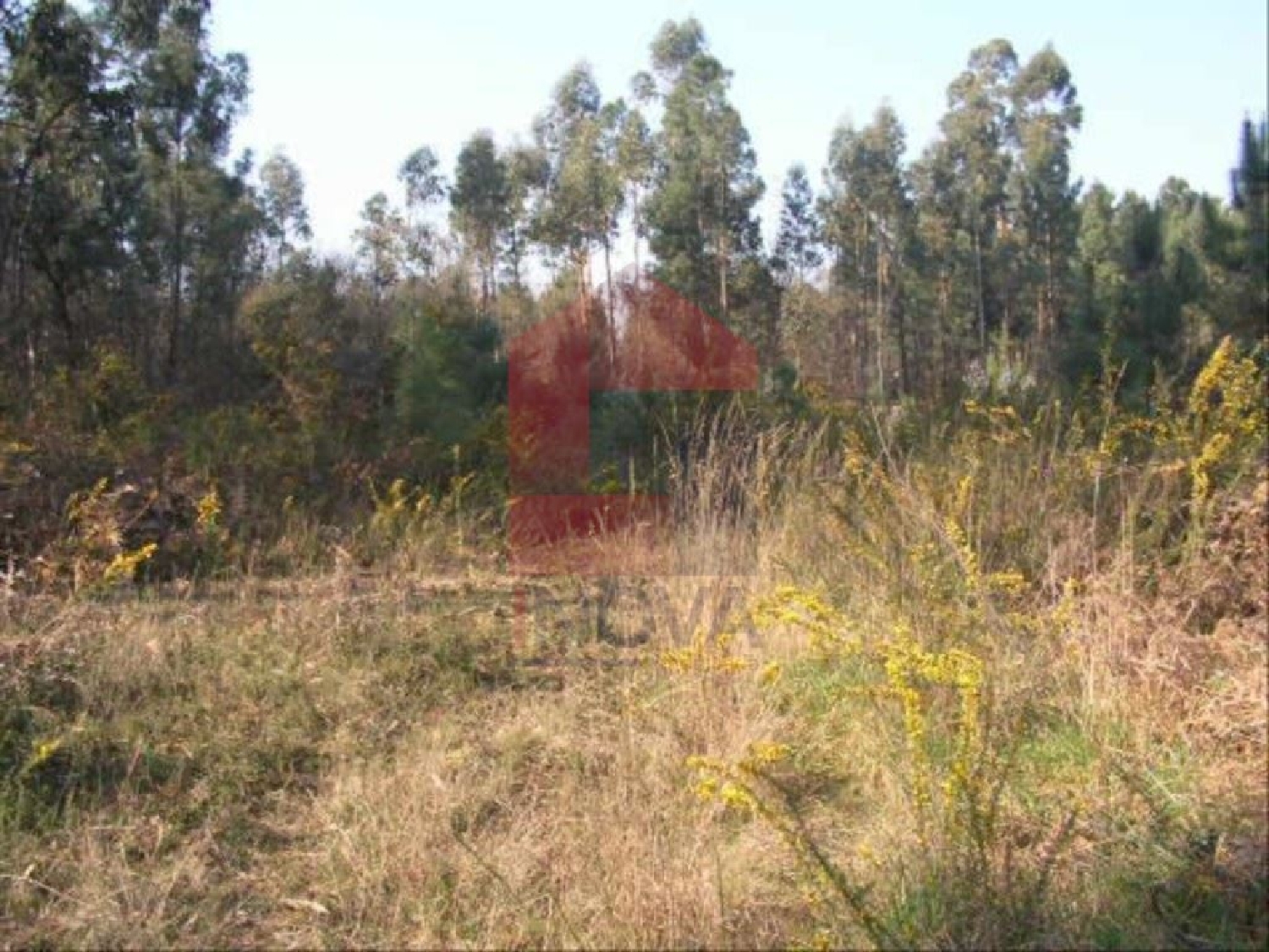 à vendre terrain Lage Vila Verde 1