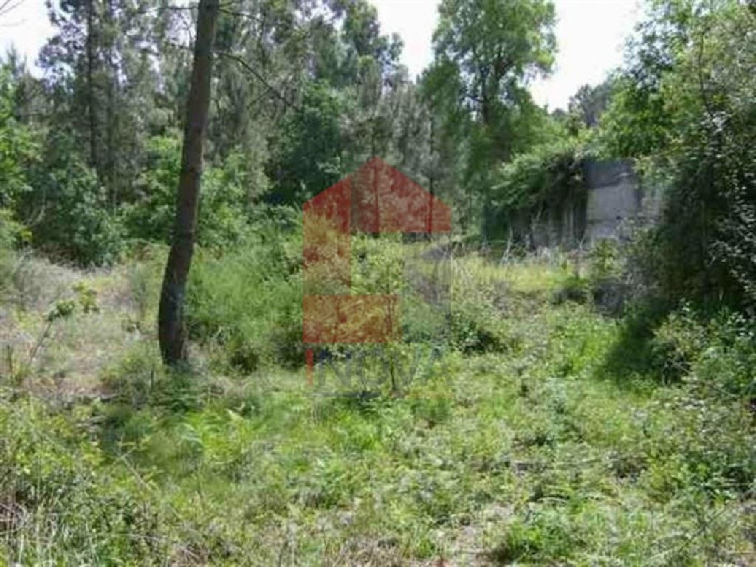  à vendre terrain Lage Vila Verde 1