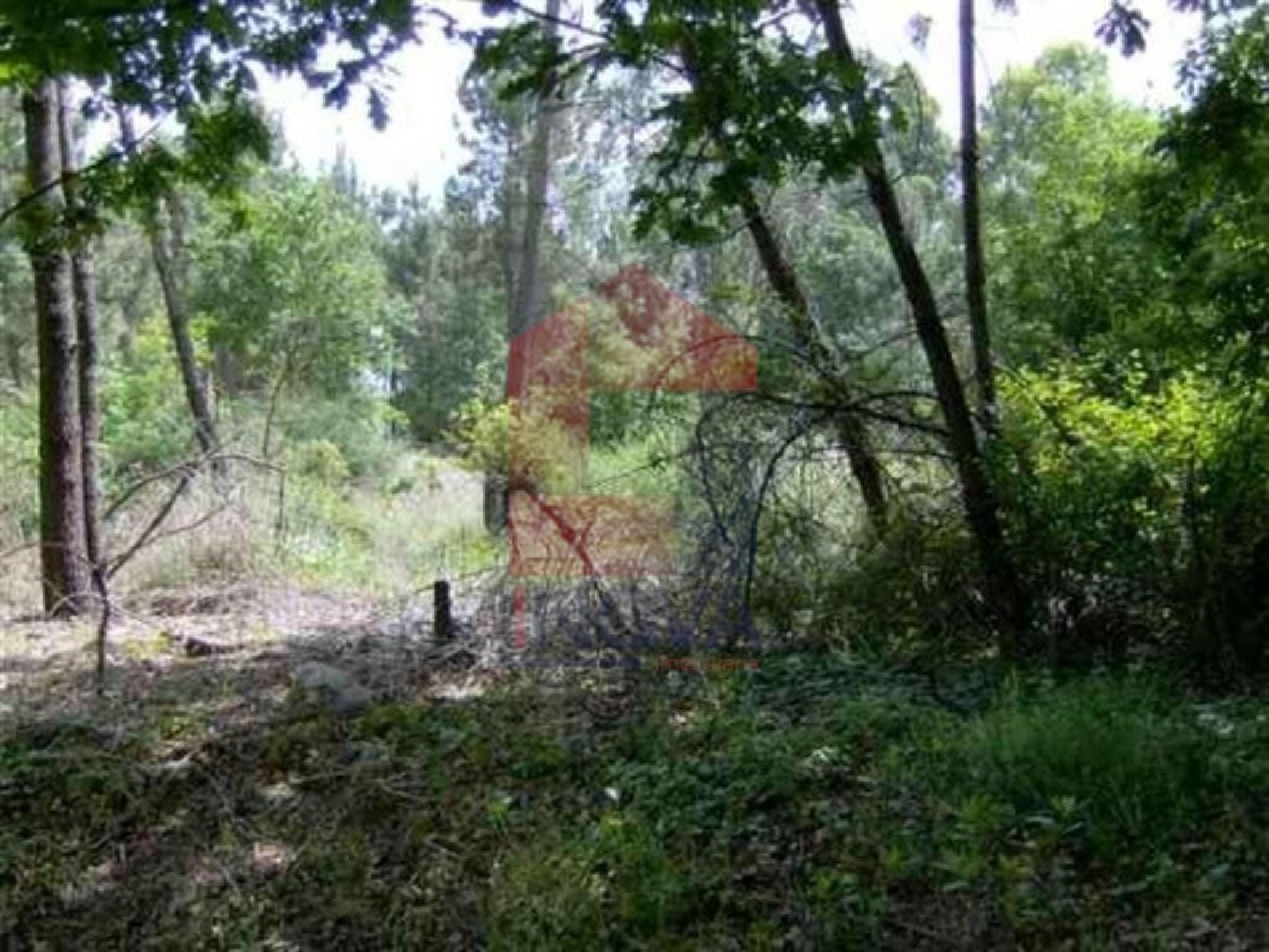 à vendre terrain Lage Vila Verde 2