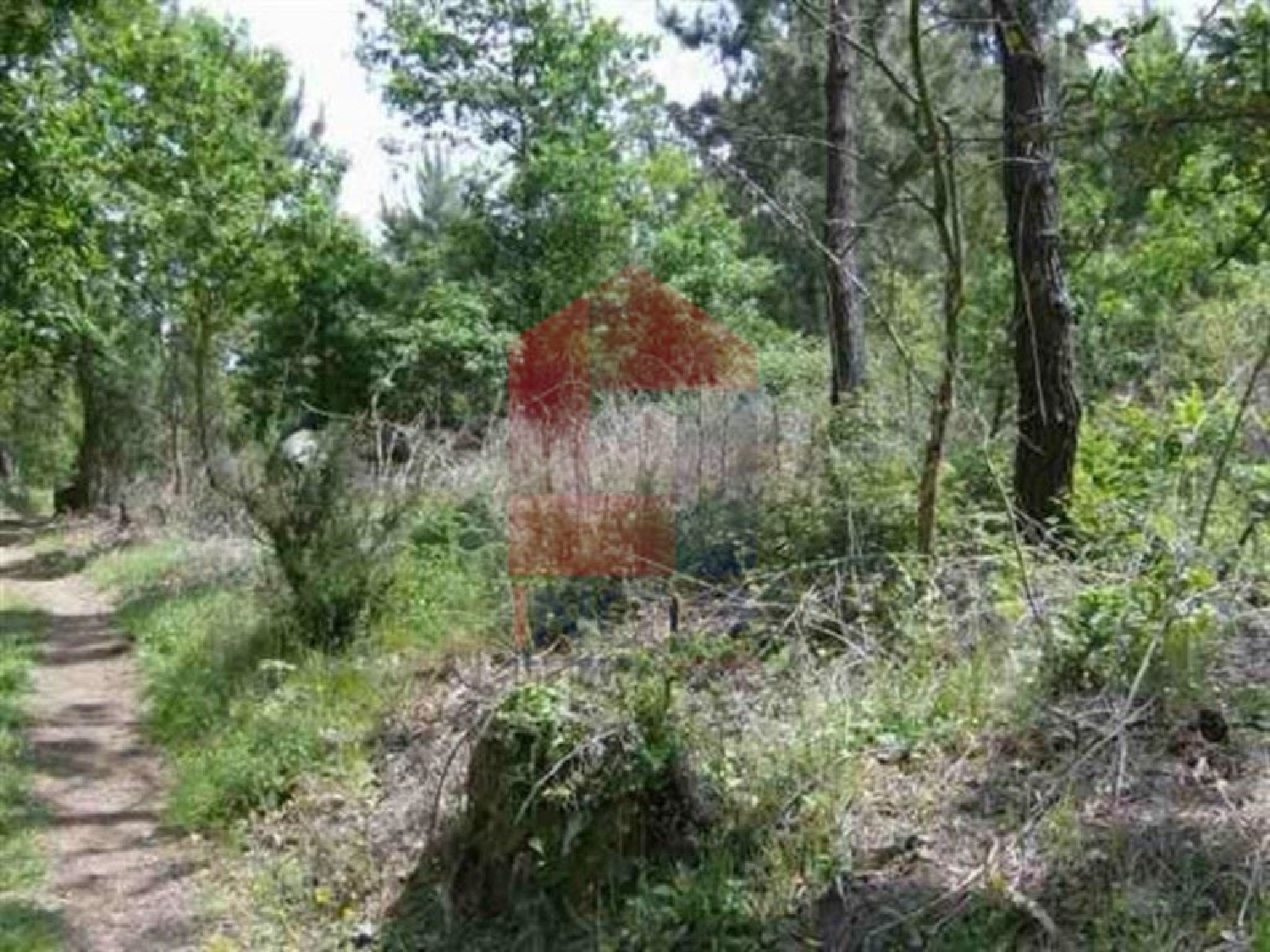 à vendre terrain Lage Vila Verde 3