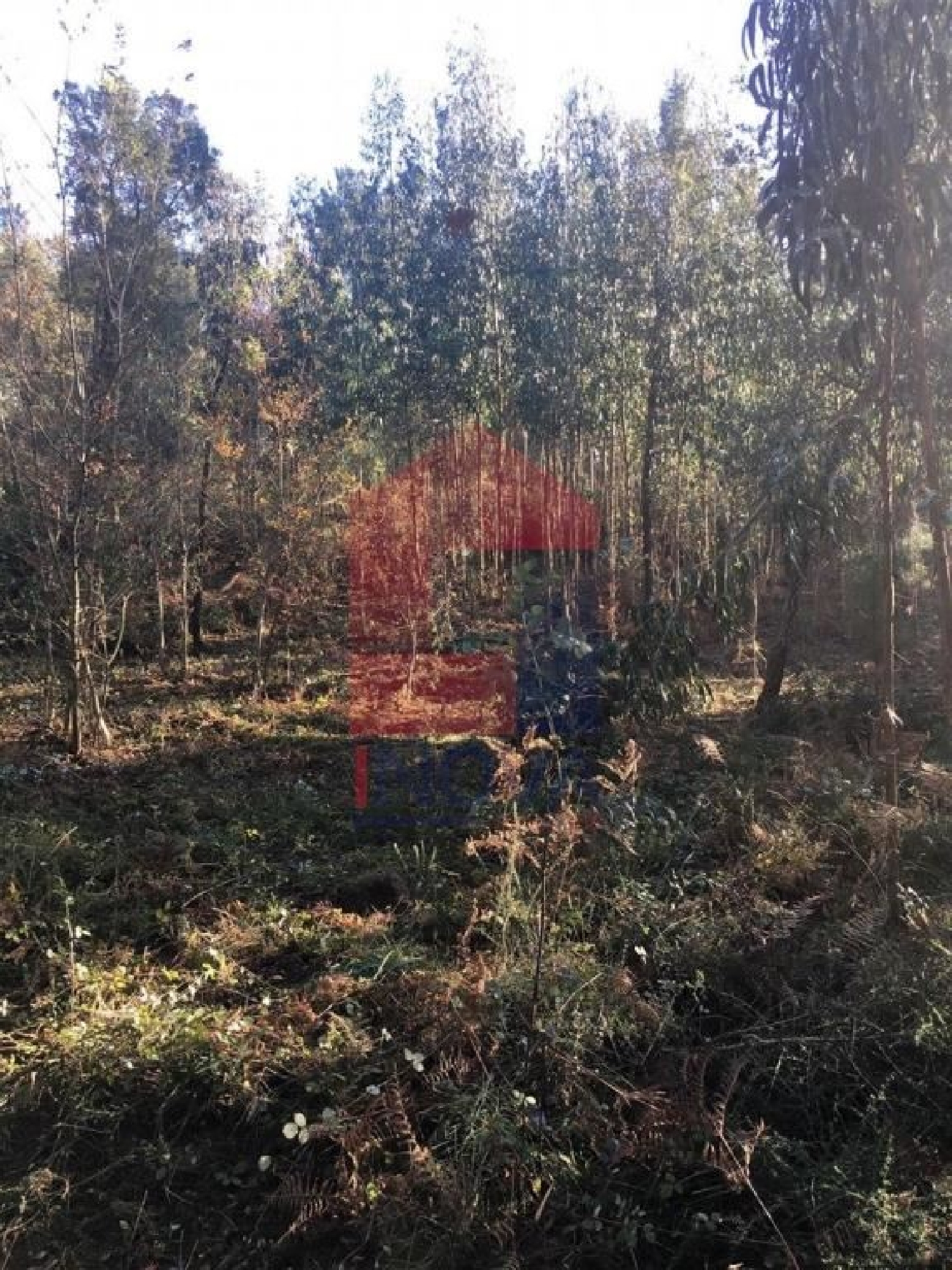 köpa tomt Lage Vila Verde 2