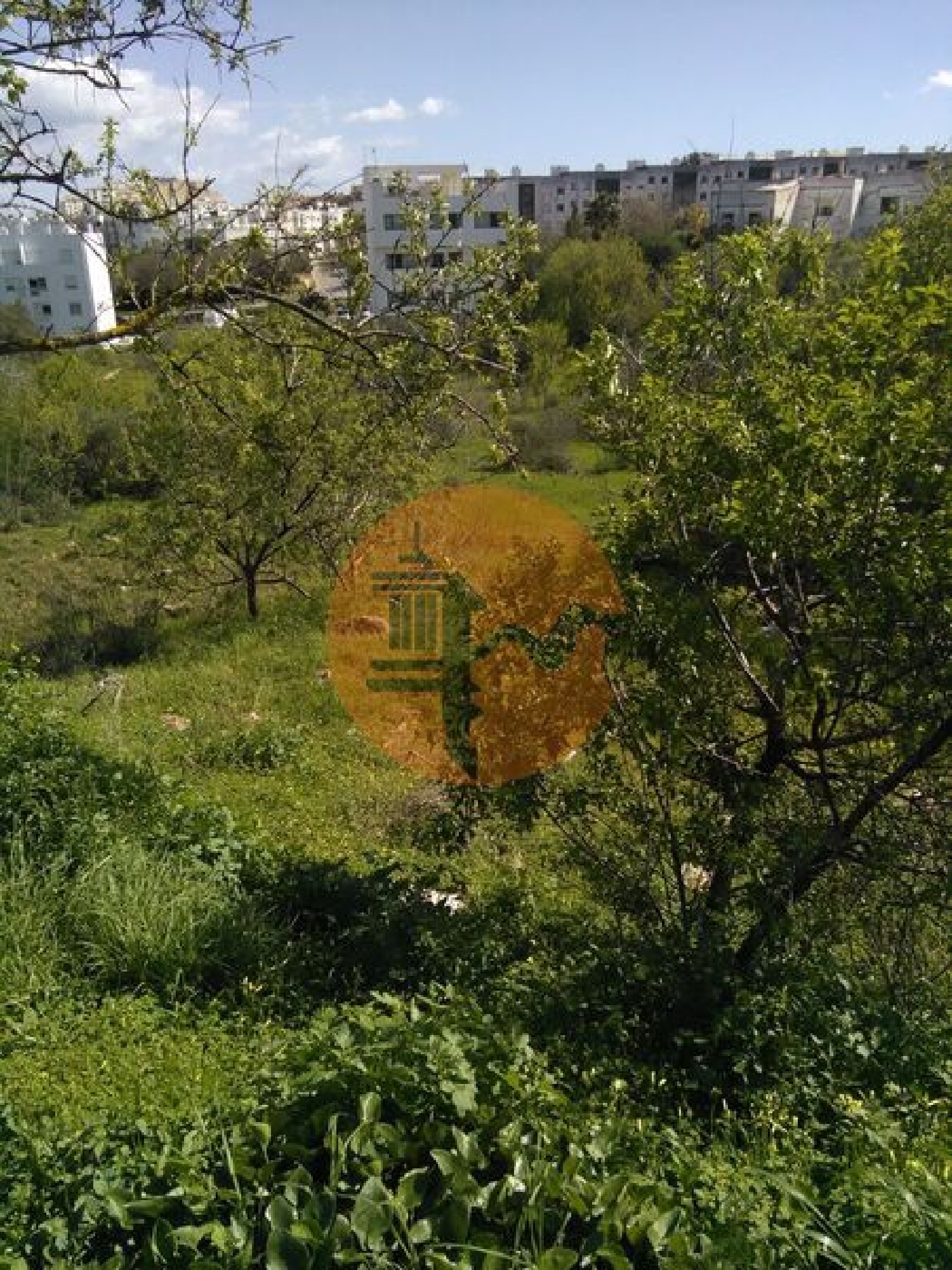  en venta terreno Lagos Lagos 2
