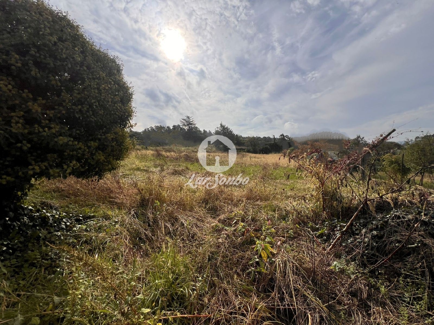 à venda terreno Lama Barcelos 2