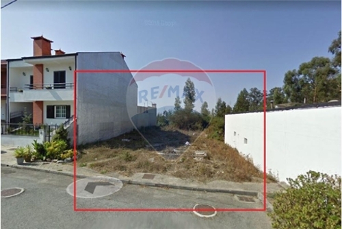 Lama Santo Tirso terrein foto 322459