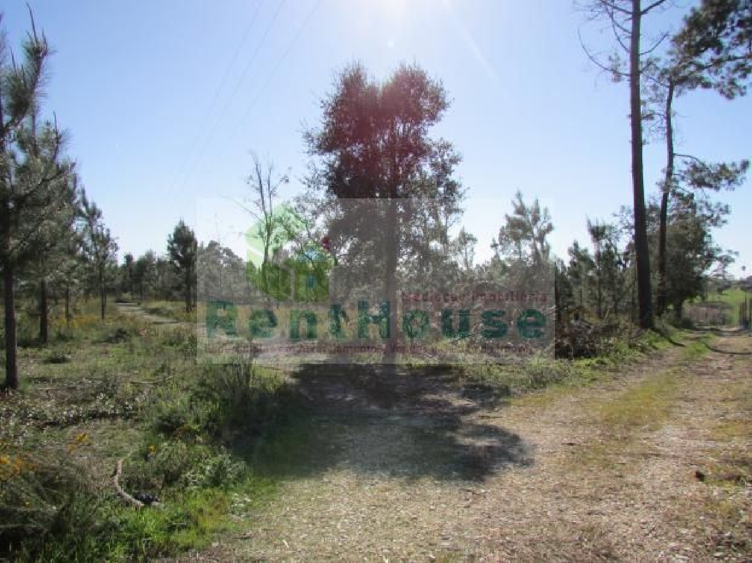  en venta terreno Lamarosa Coimbra 1