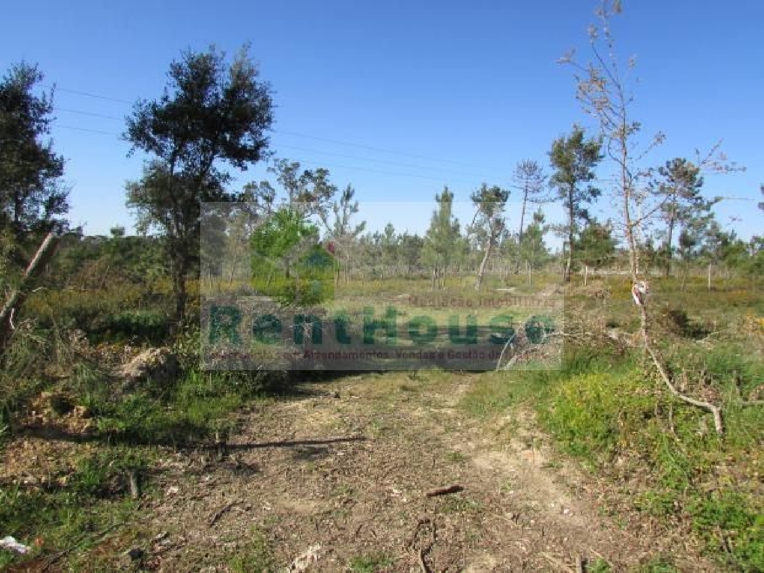  en venta terreno Lamarosa Coimbra 2
