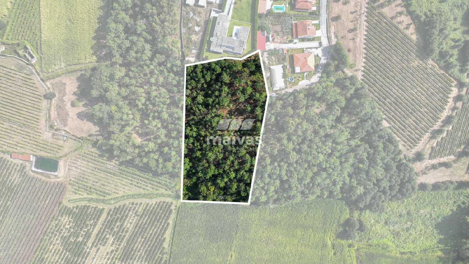  à vendre terrain Lanhas Vila Verde 1