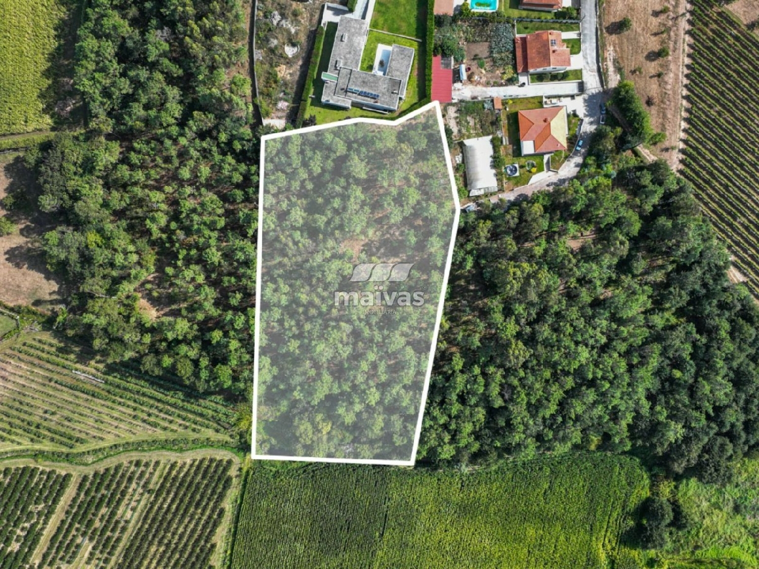  à vendre terrain Lanhas Vila Verde 2