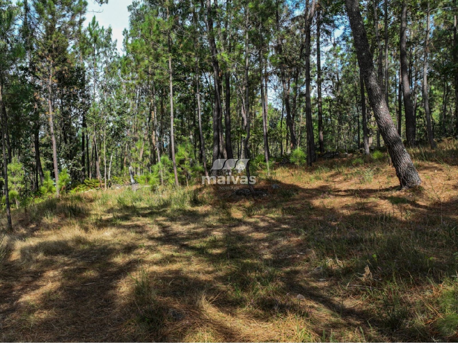  à vendre terrain Lanhas Vila Verde 3