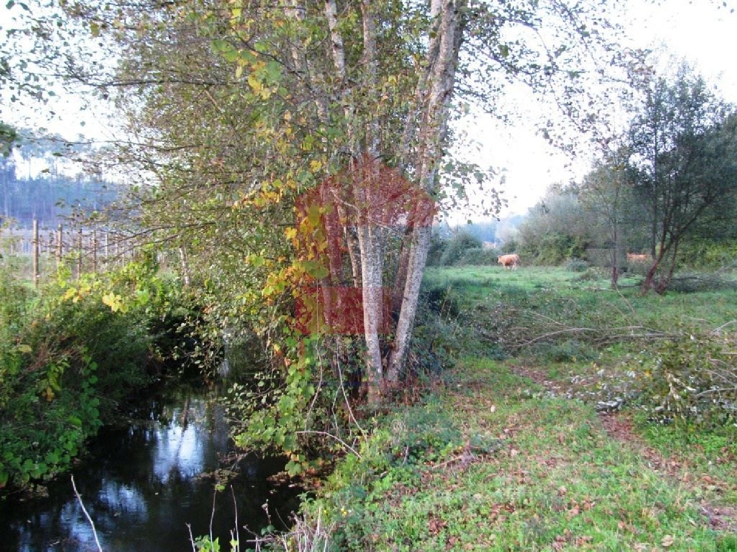  köpa tomt Lanhas Vila Verde 1