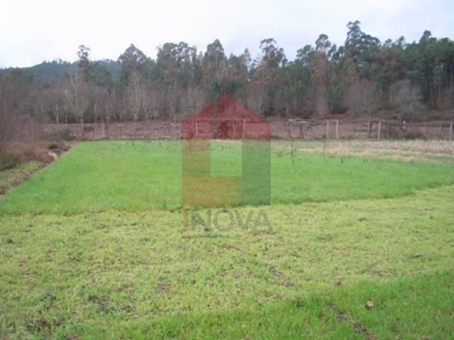 Lanhas Vila Verde terrain foto 326012
