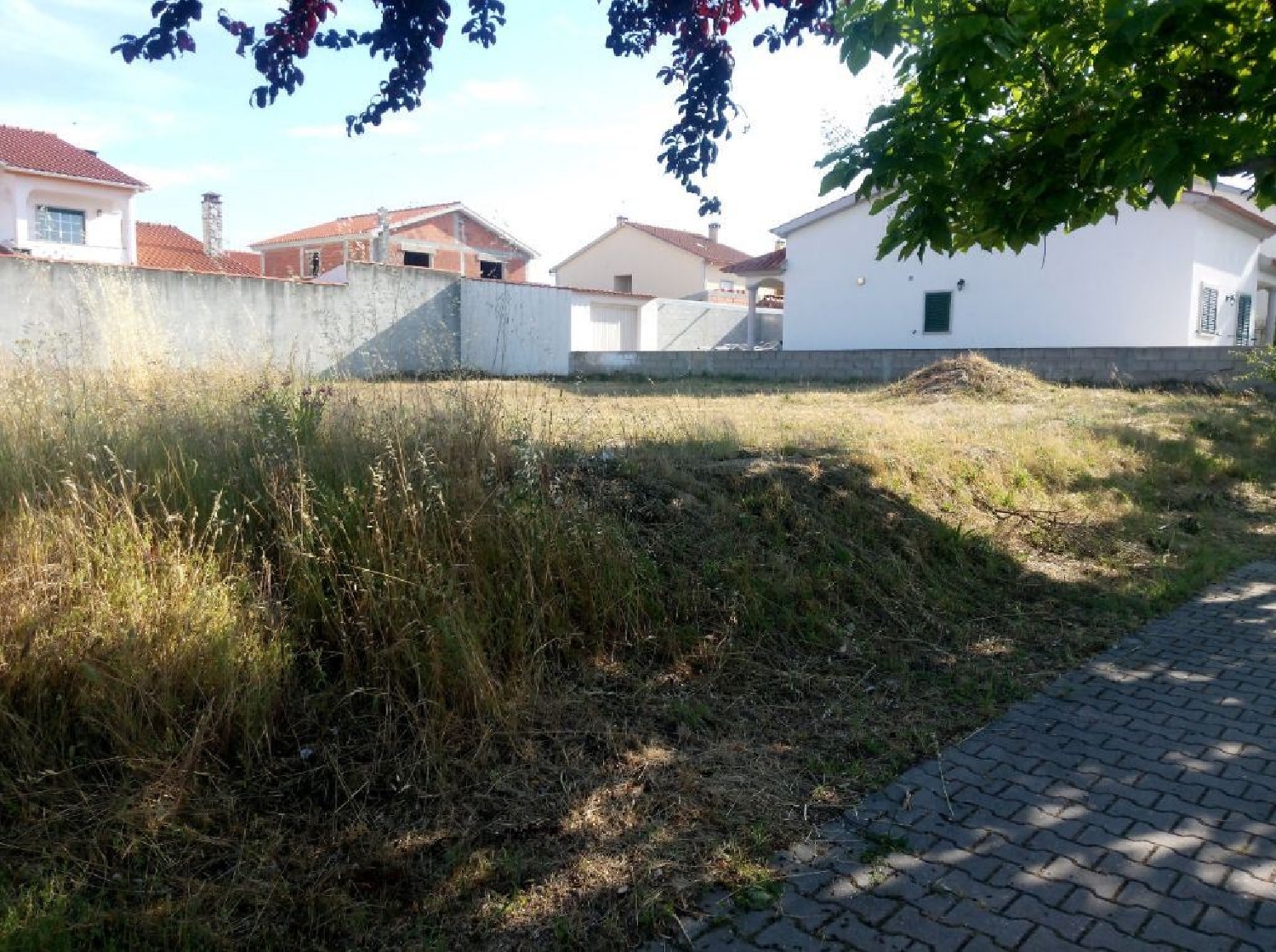  te koop terrein Lardosa Castelo Branco 1